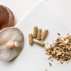 Sugar shrooms